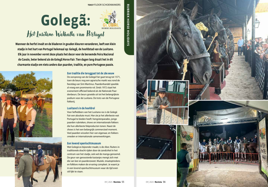 Schermafbeelding 2026-06-03 134808